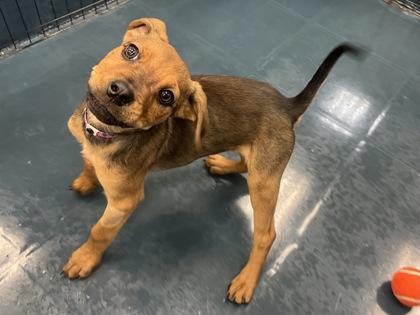 Prada — thumbnail 3