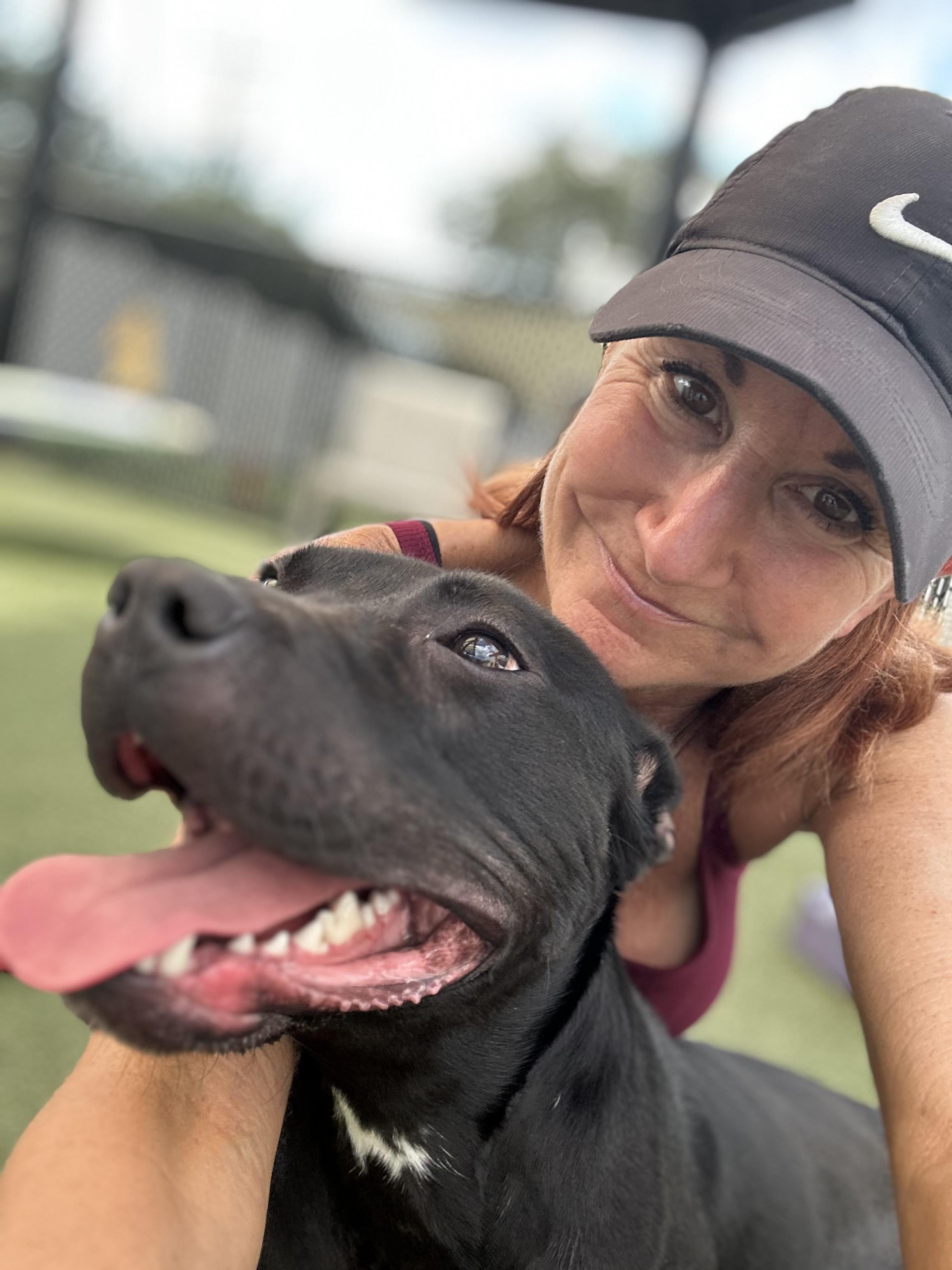 Enlarge Fawn, a Adoptable mixed breed in Coconut Creek, FL image 2/5