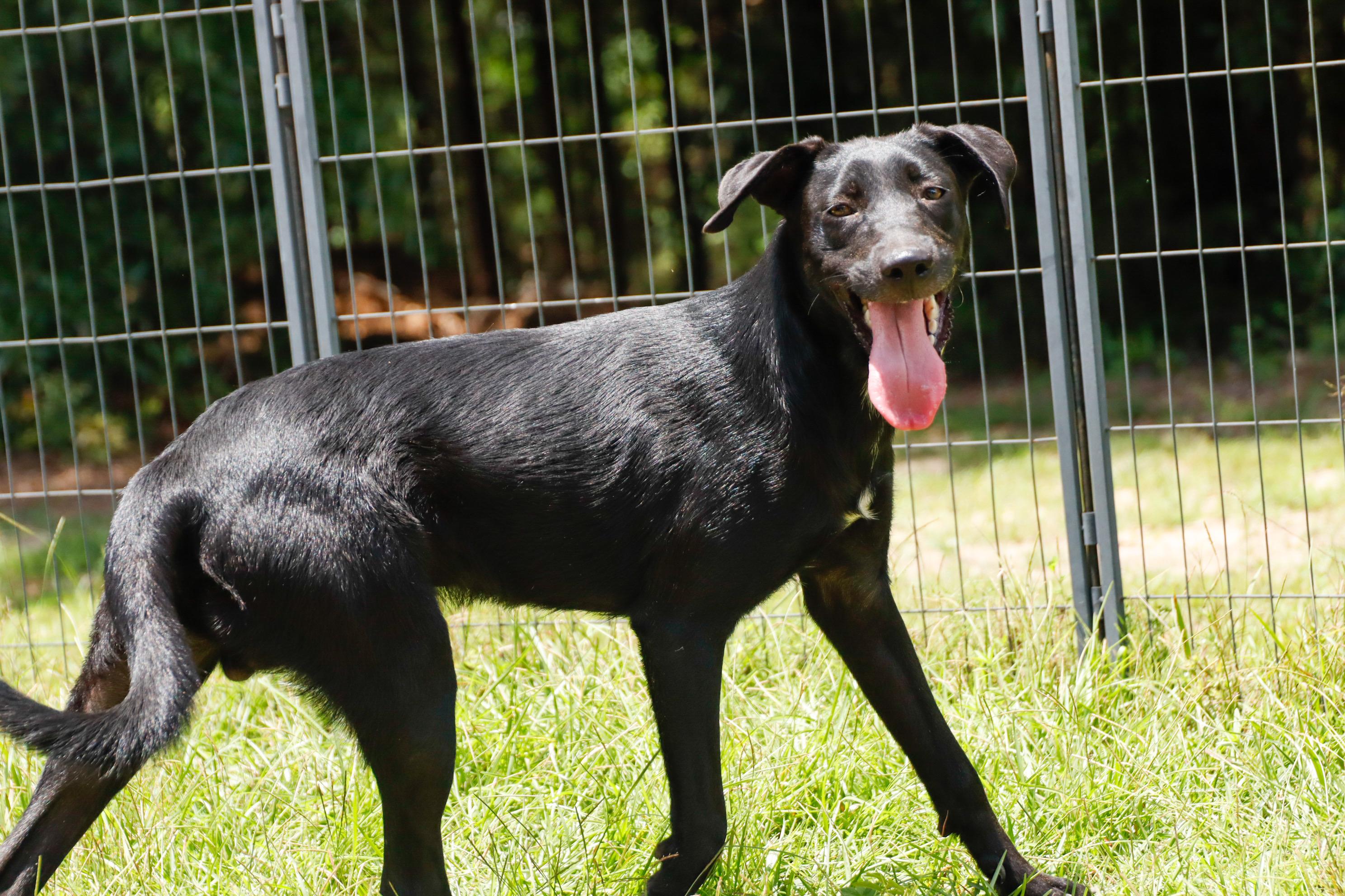 REAPER — thumbnail 2