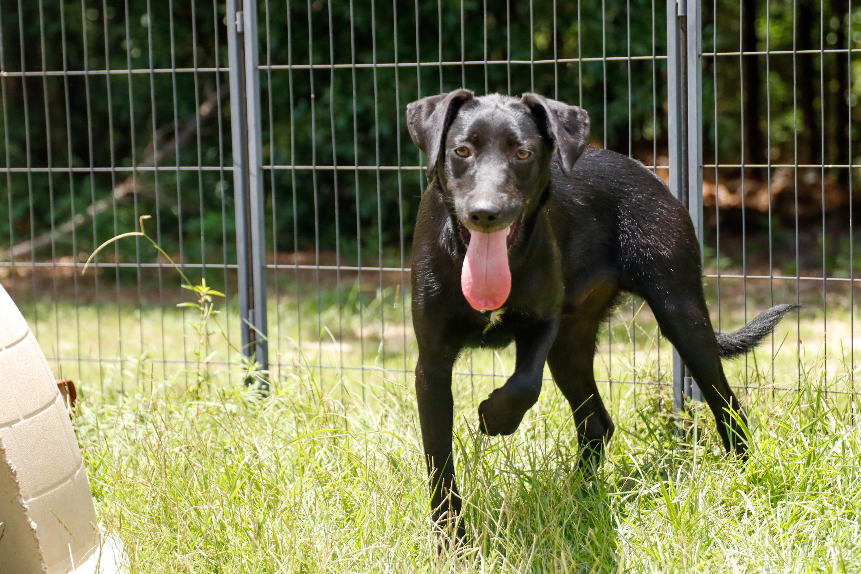 REAPER — thumbnail 3