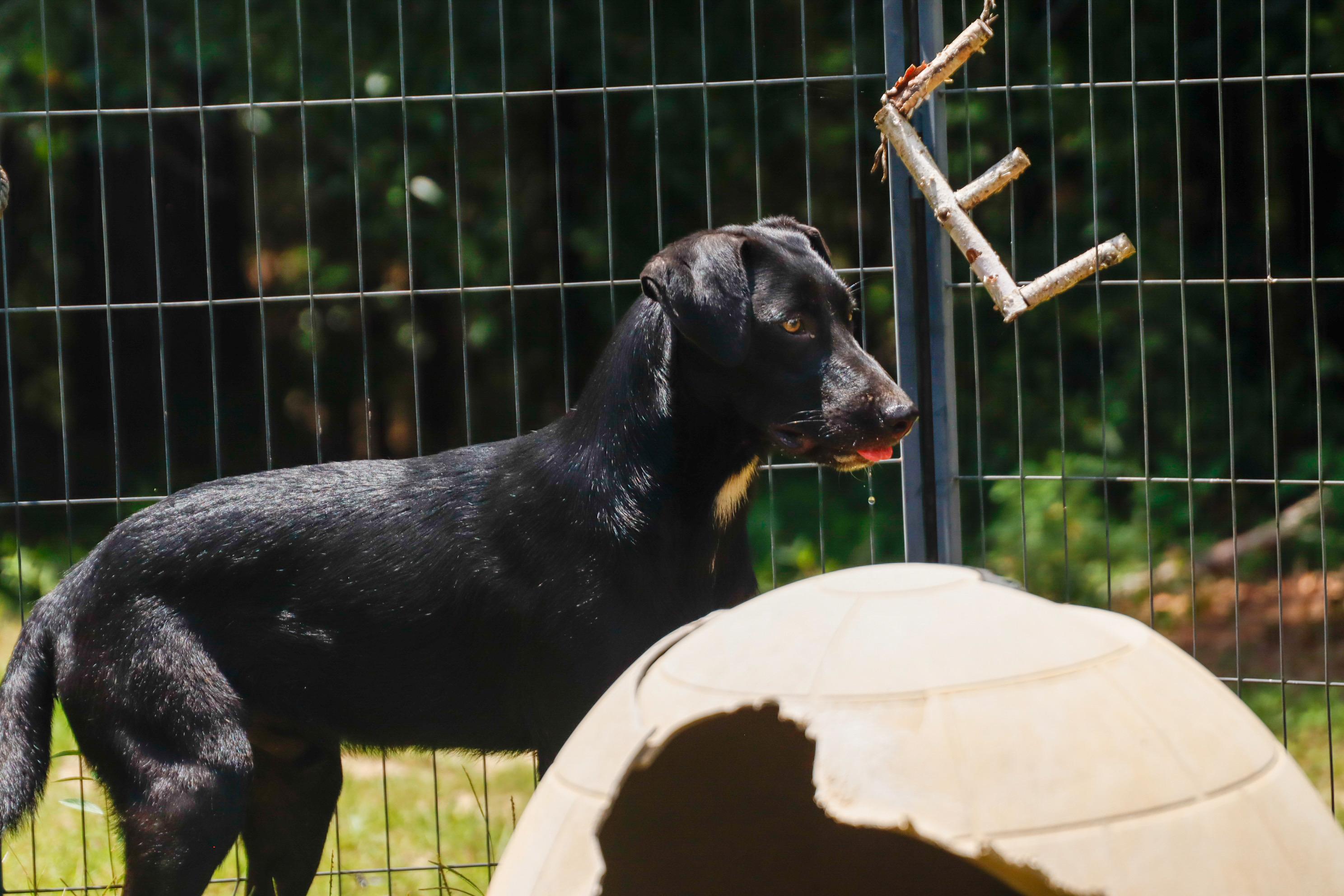 REAPER — thumbnail 6