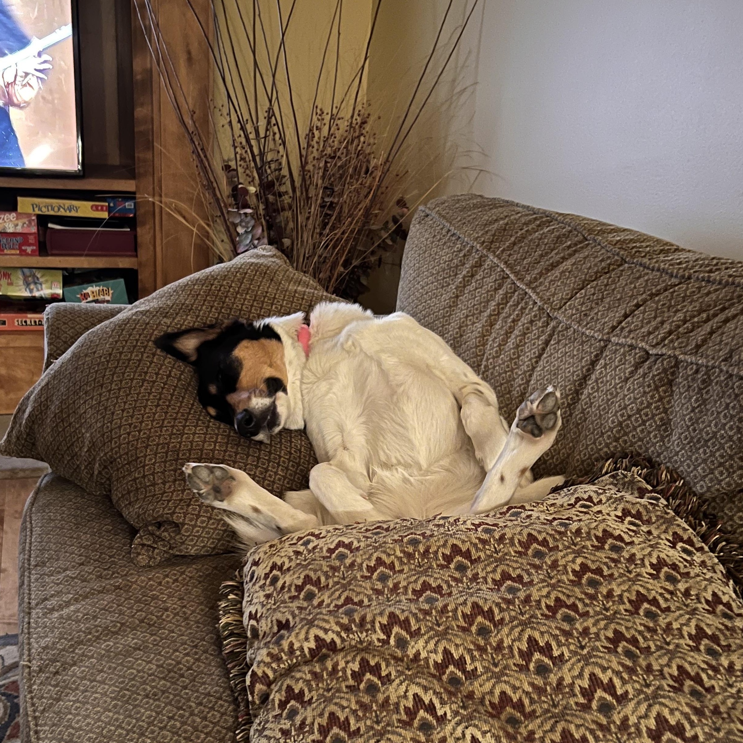 COURTESY POST - Domino - Minocqua, WI