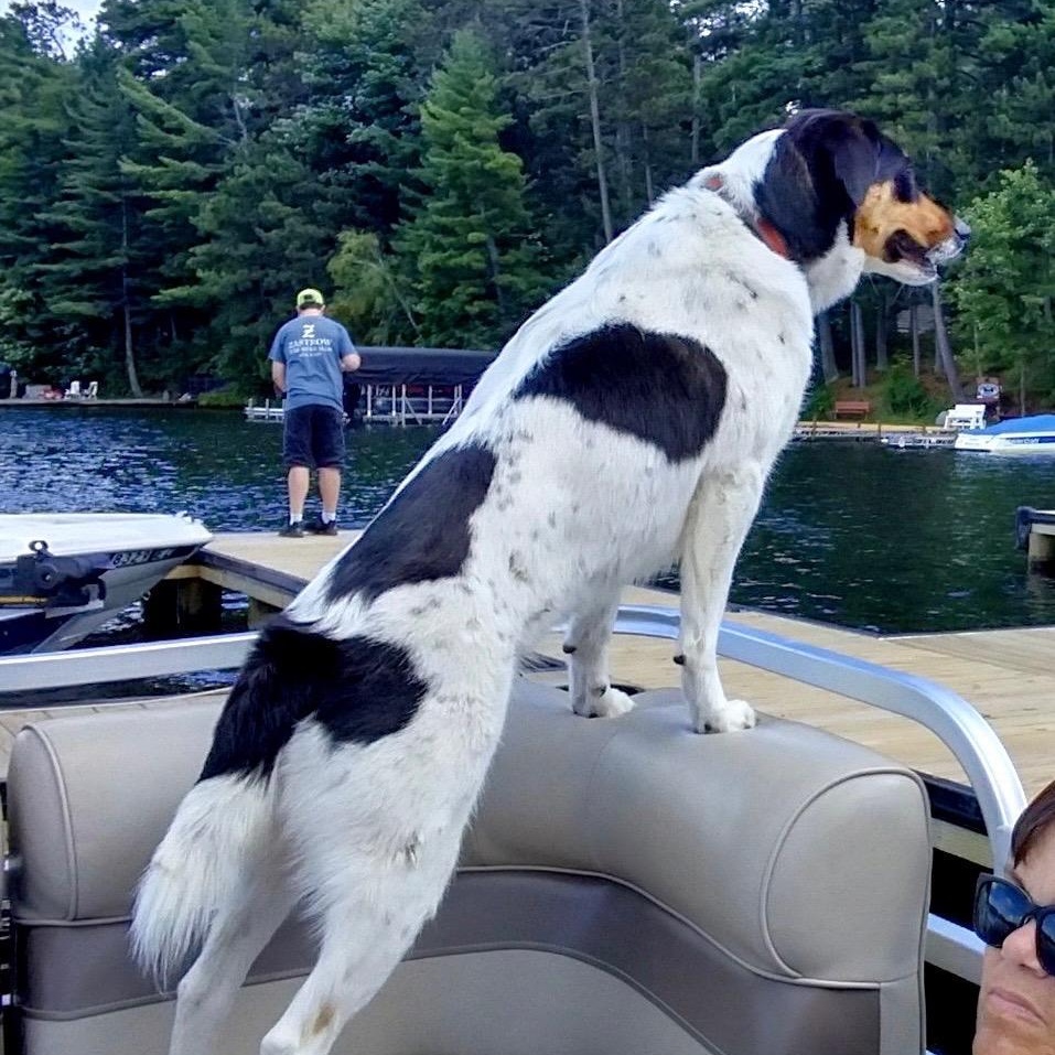 COURTESY POST - Domino - Minocqua, WI