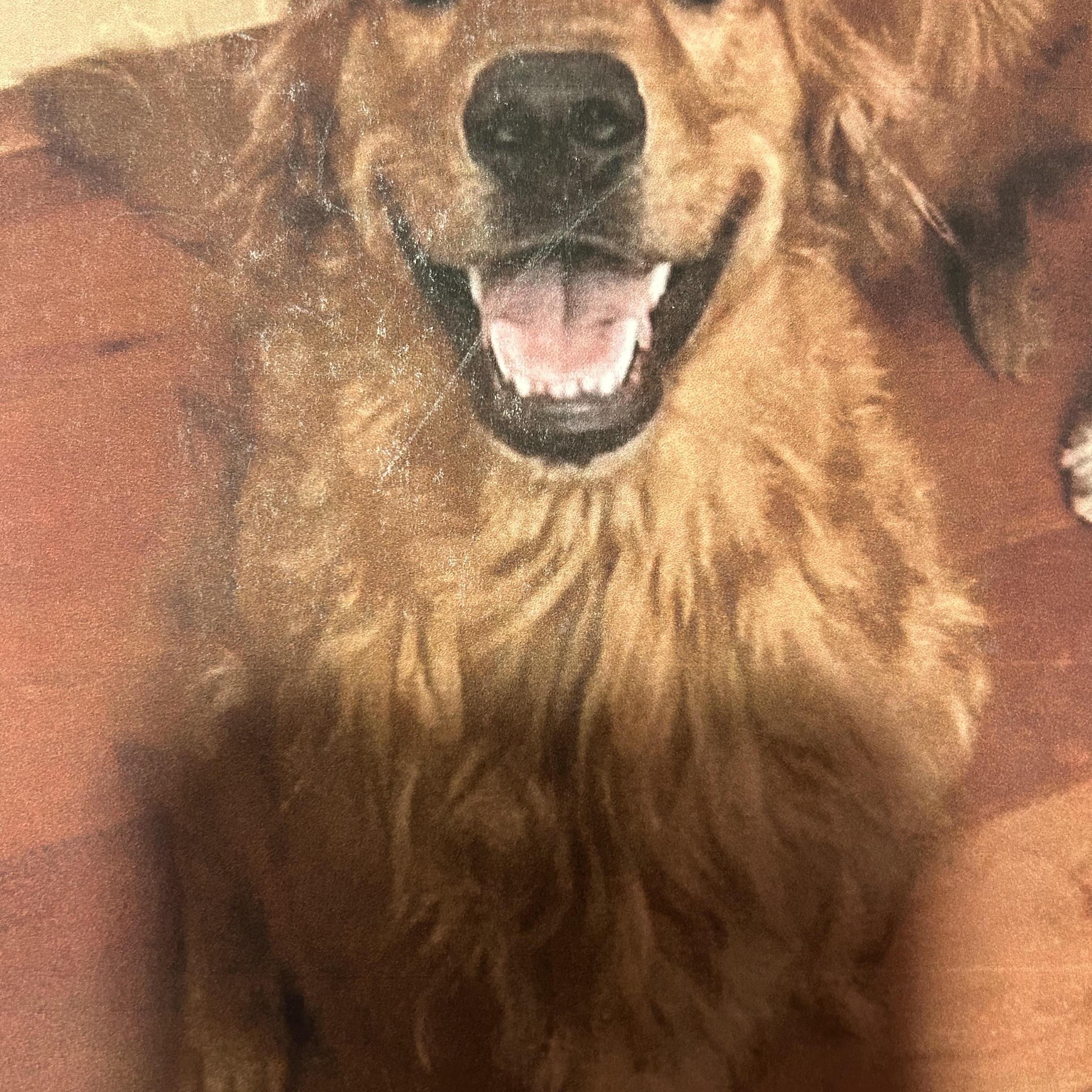 ANGUS, Adopted, Adult Male Golden Retriever.
