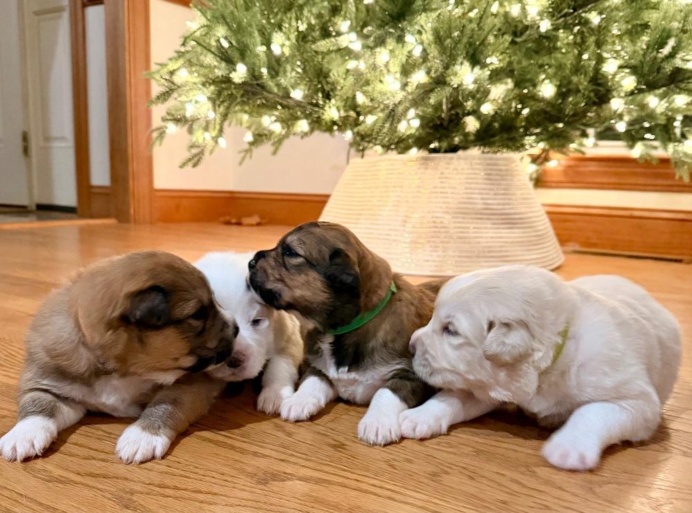 John Mcclane thumbnail 5