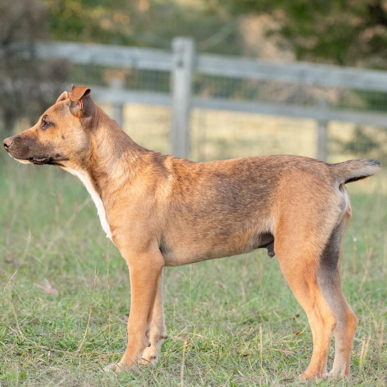 Wiley, Young Male unknown
