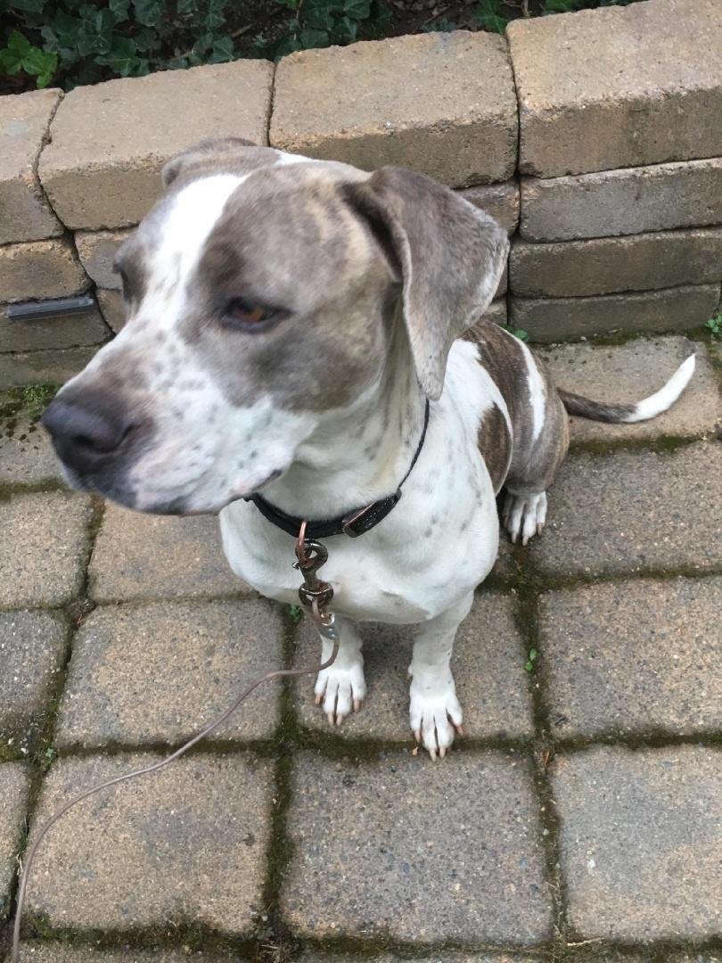 Themy - A Gentle Soul Ready for Love!