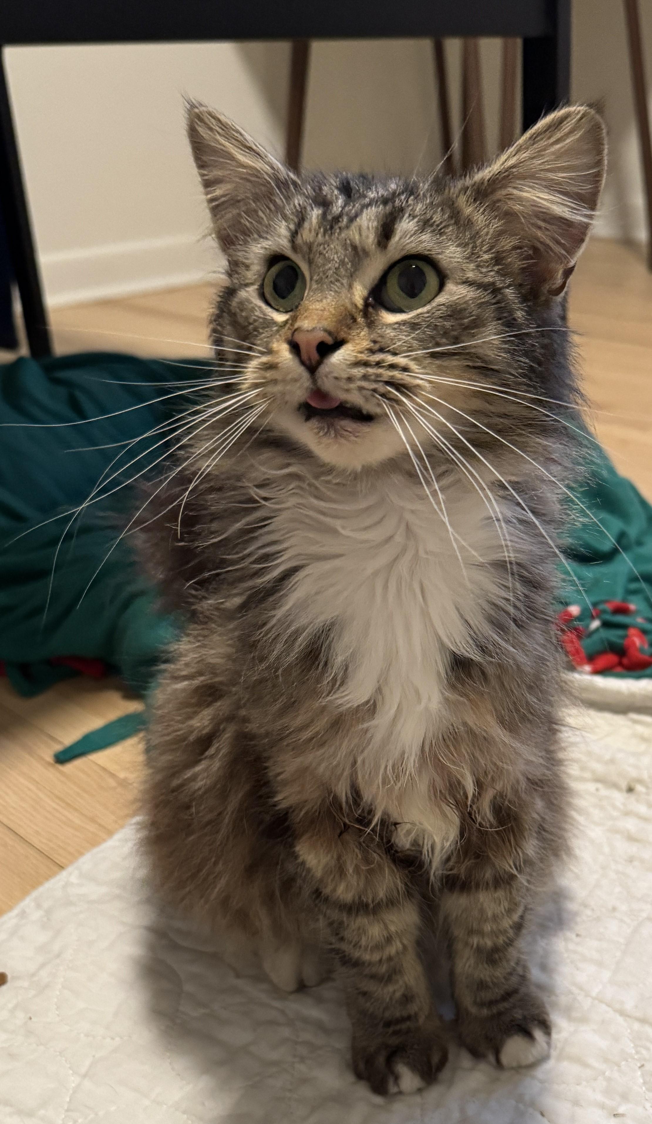 Burrnard thumbnail 2