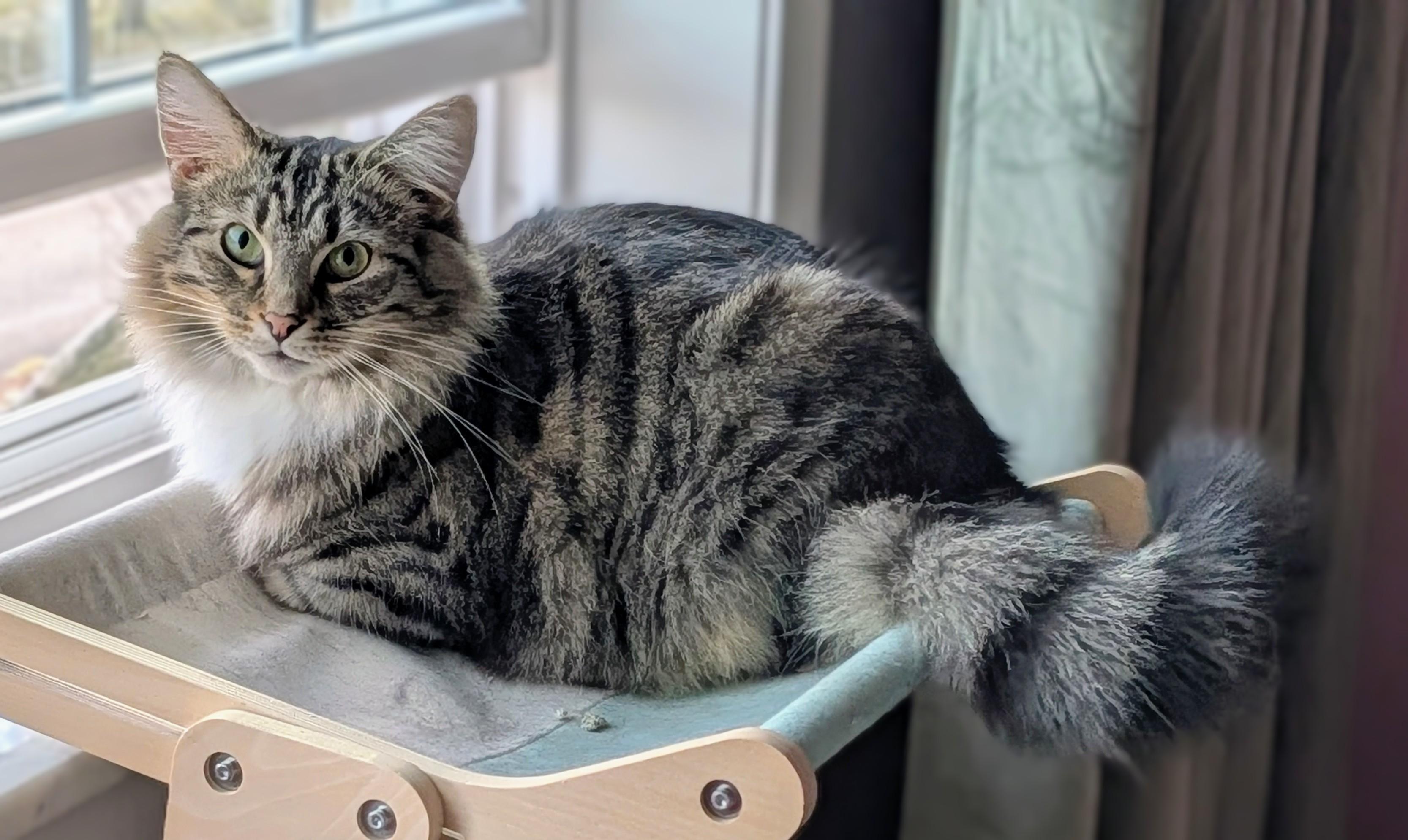 Burrnard thumbnail 4