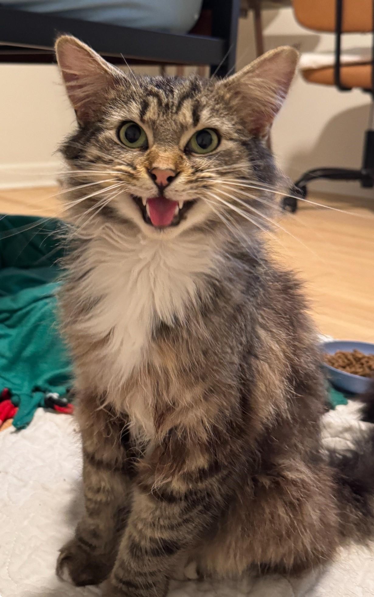 Burrnard thumbnail 5