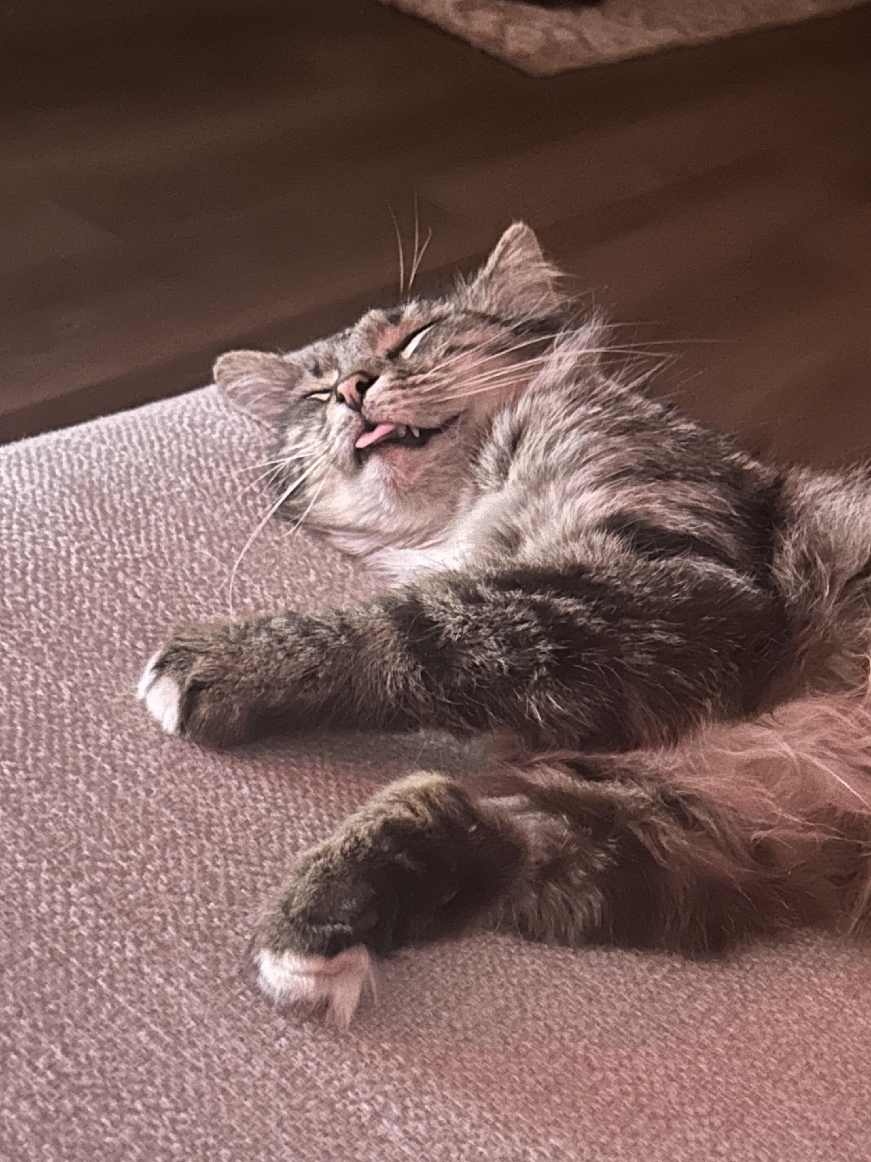 Burrnard thumbnail 6