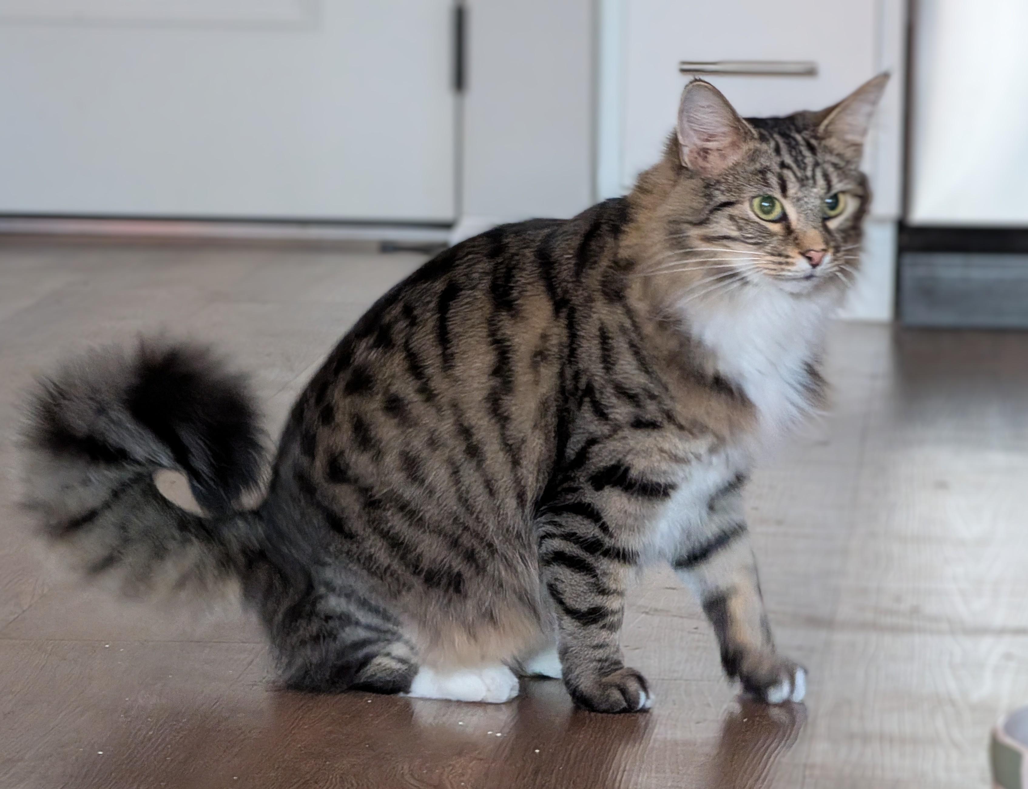 Burrnard thumbnail 6