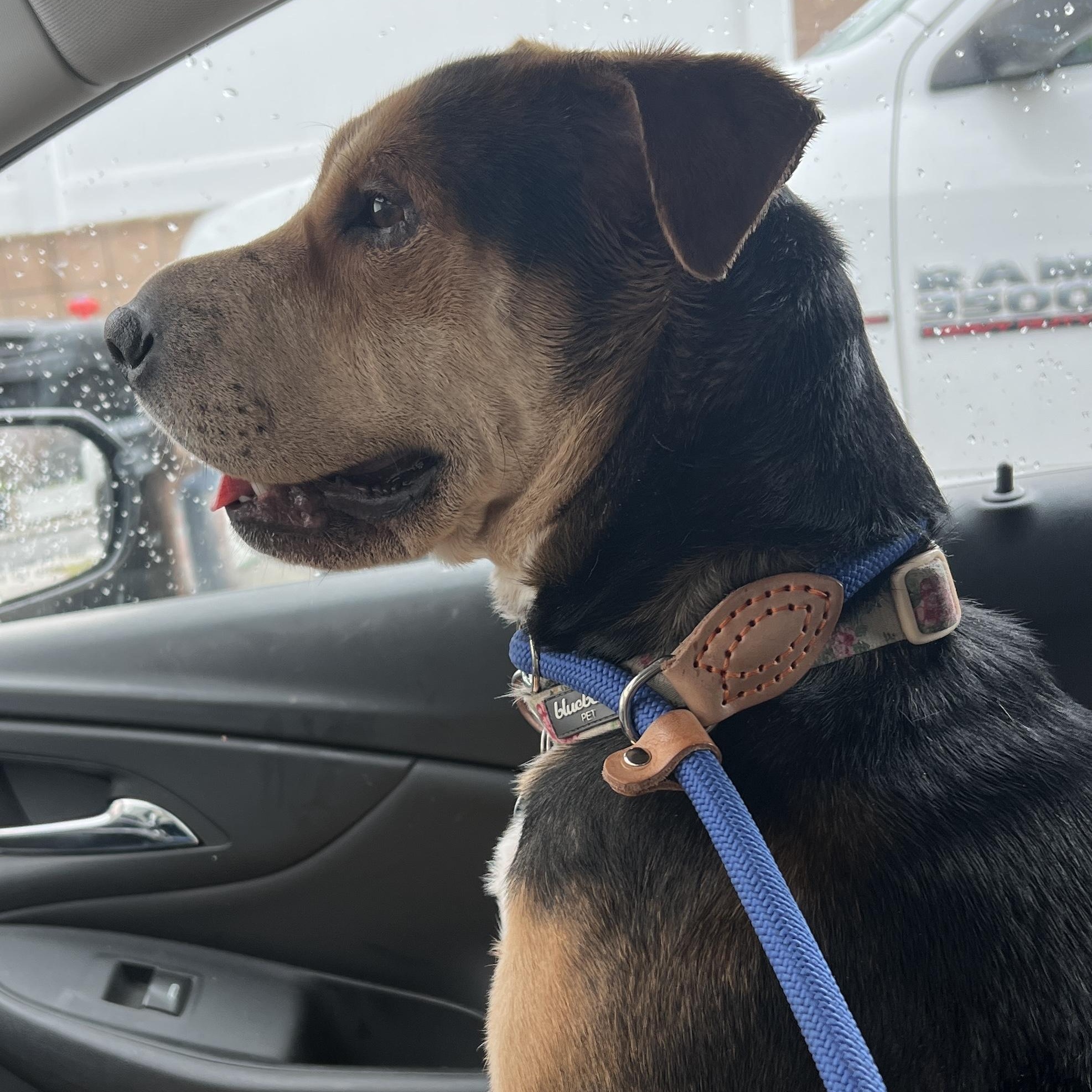 Ms. Beautiful Sienna