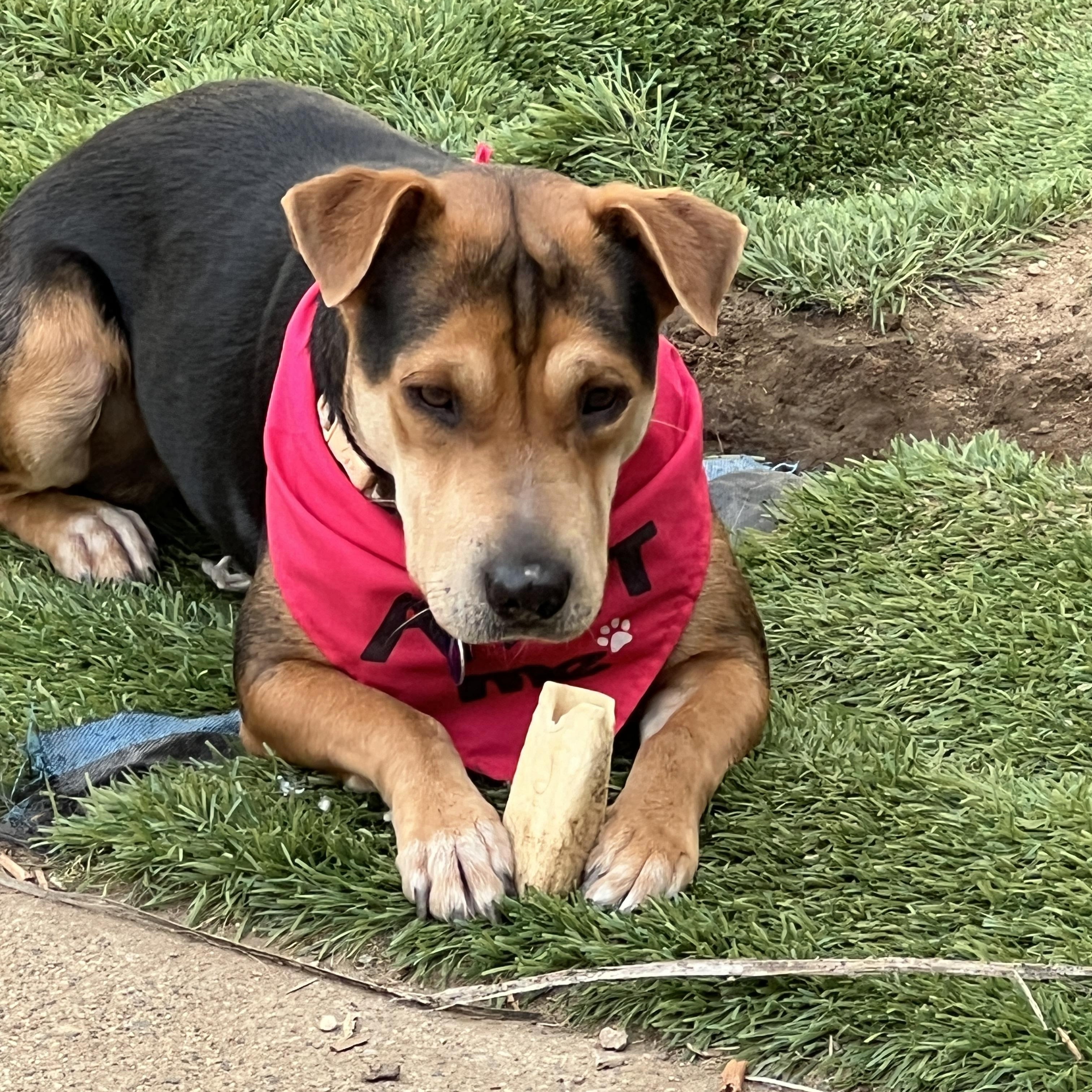 Ms. Beautiful Sienna