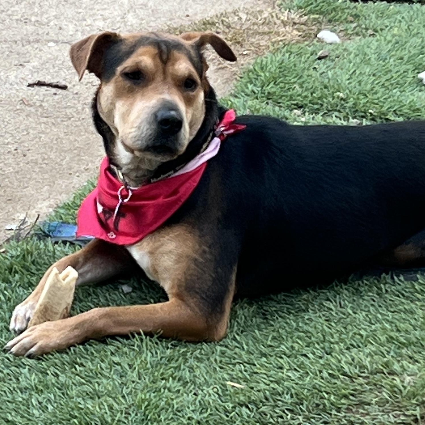 Ms. Beautiful Sienna