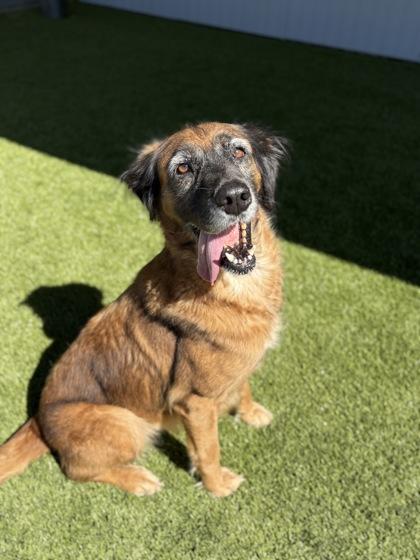 Nala — thumbnail 2