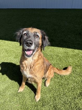 Nala — thumbnail 3