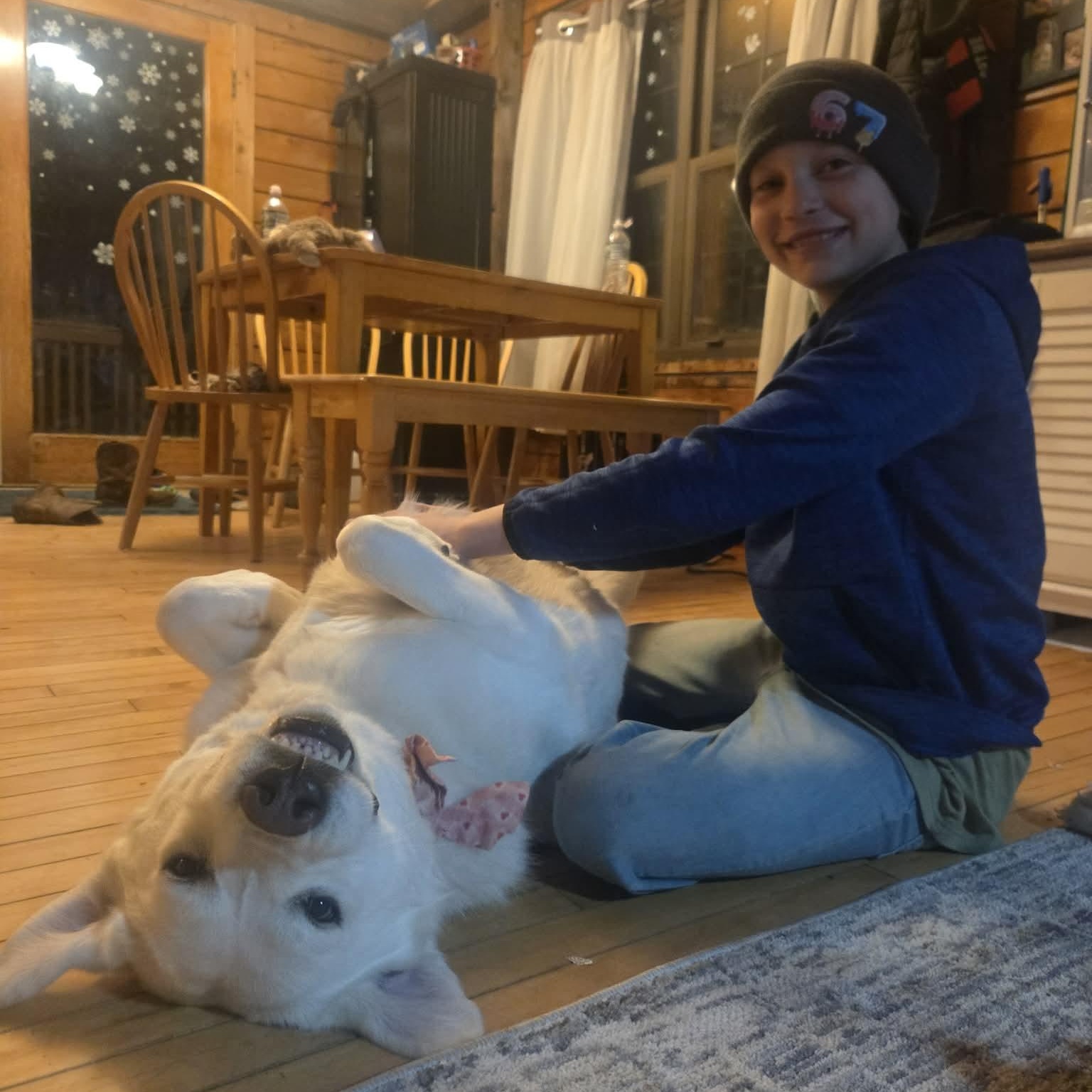 Alice, a ADOPTABLE Great Pyrenees in Woolwich, ME image 1/6