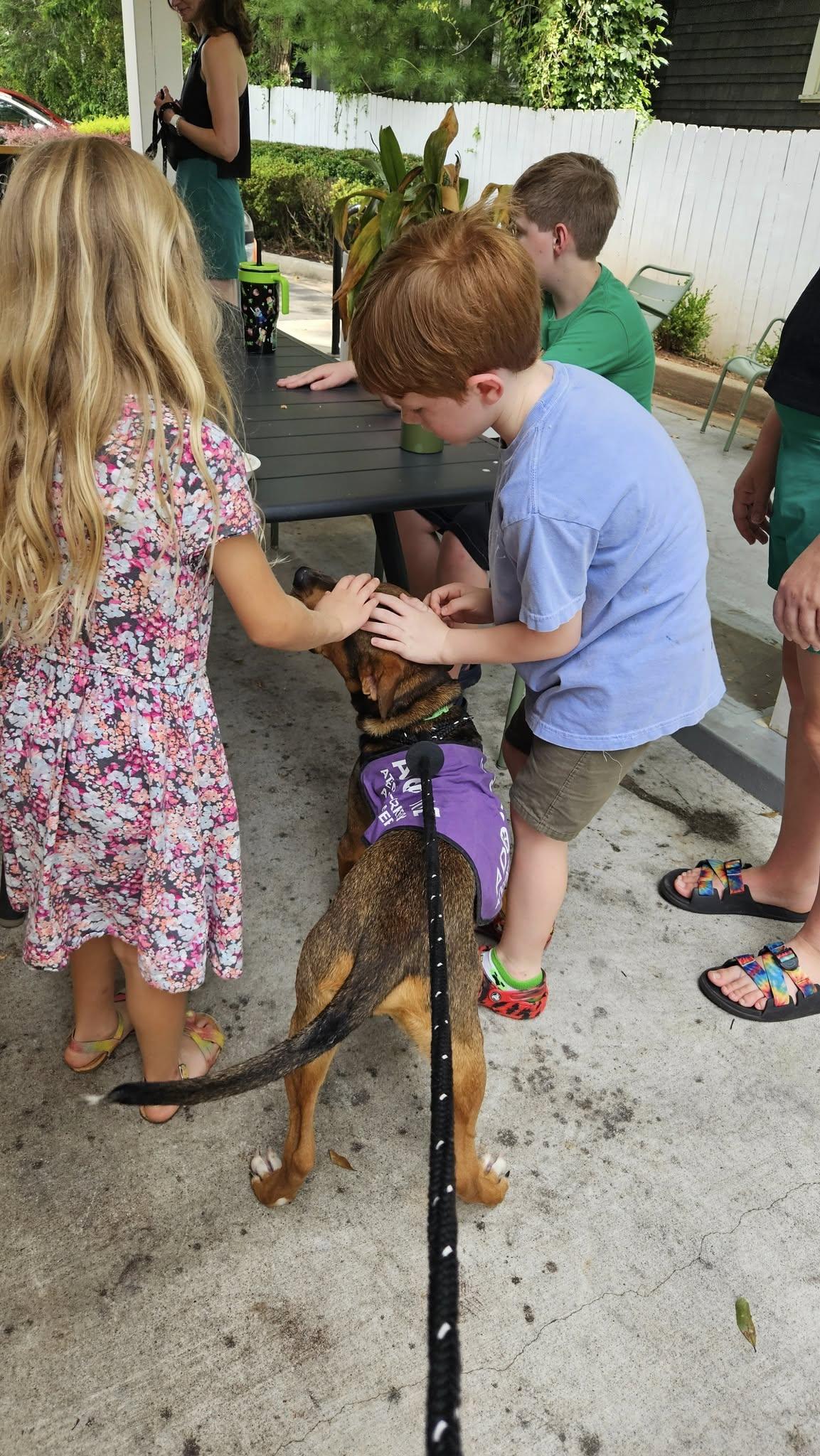 Eric, a Adoptable Mixed Breed in Athens, GA image 5/6