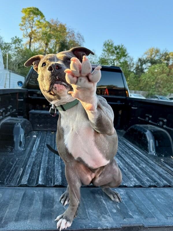 Maribella Made to Love full of fun — thumbnail 2