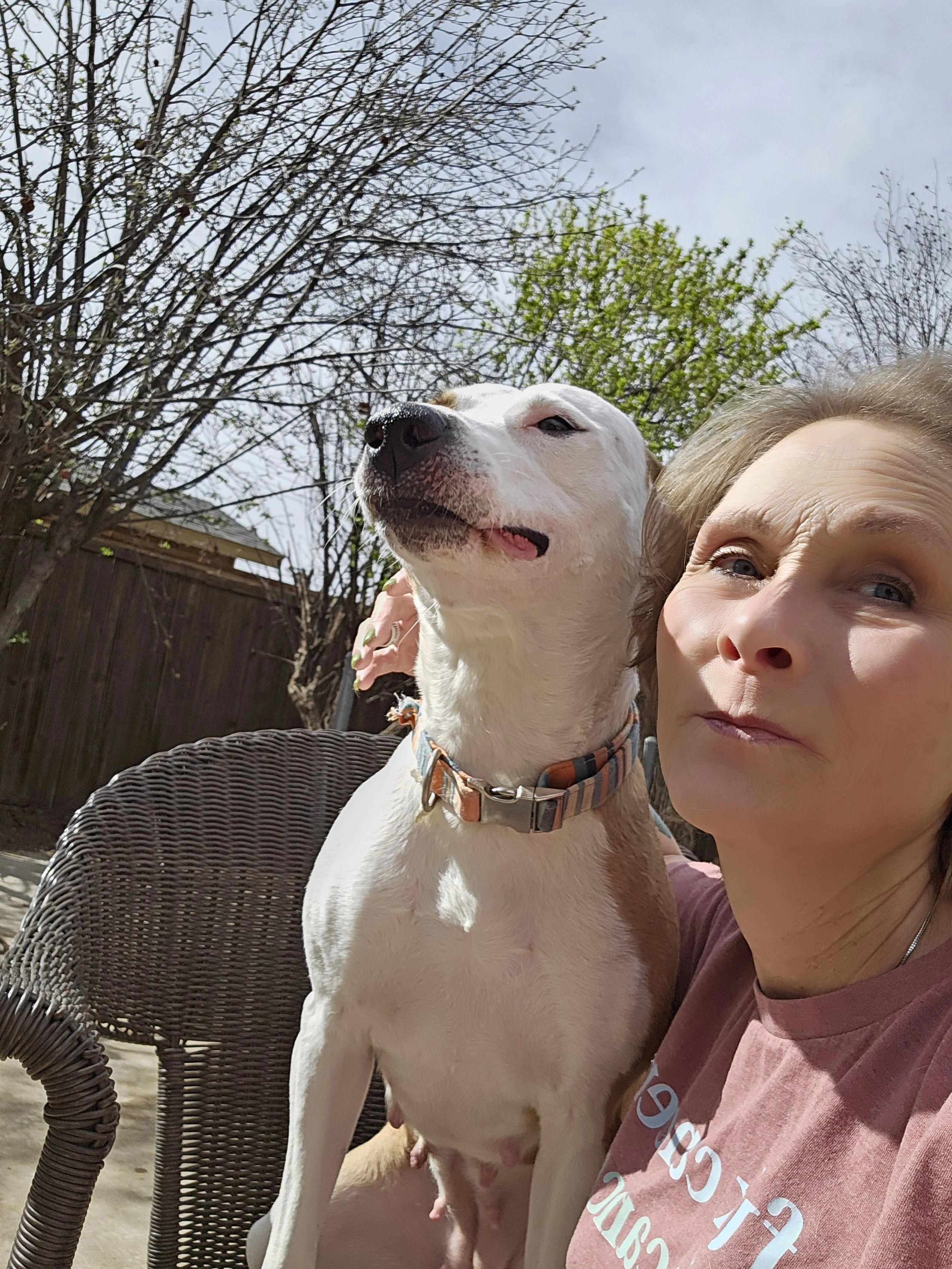 Enlarge Rosebud Ruby, a Adoptable mixed breed in Clovis, NM image 4/6