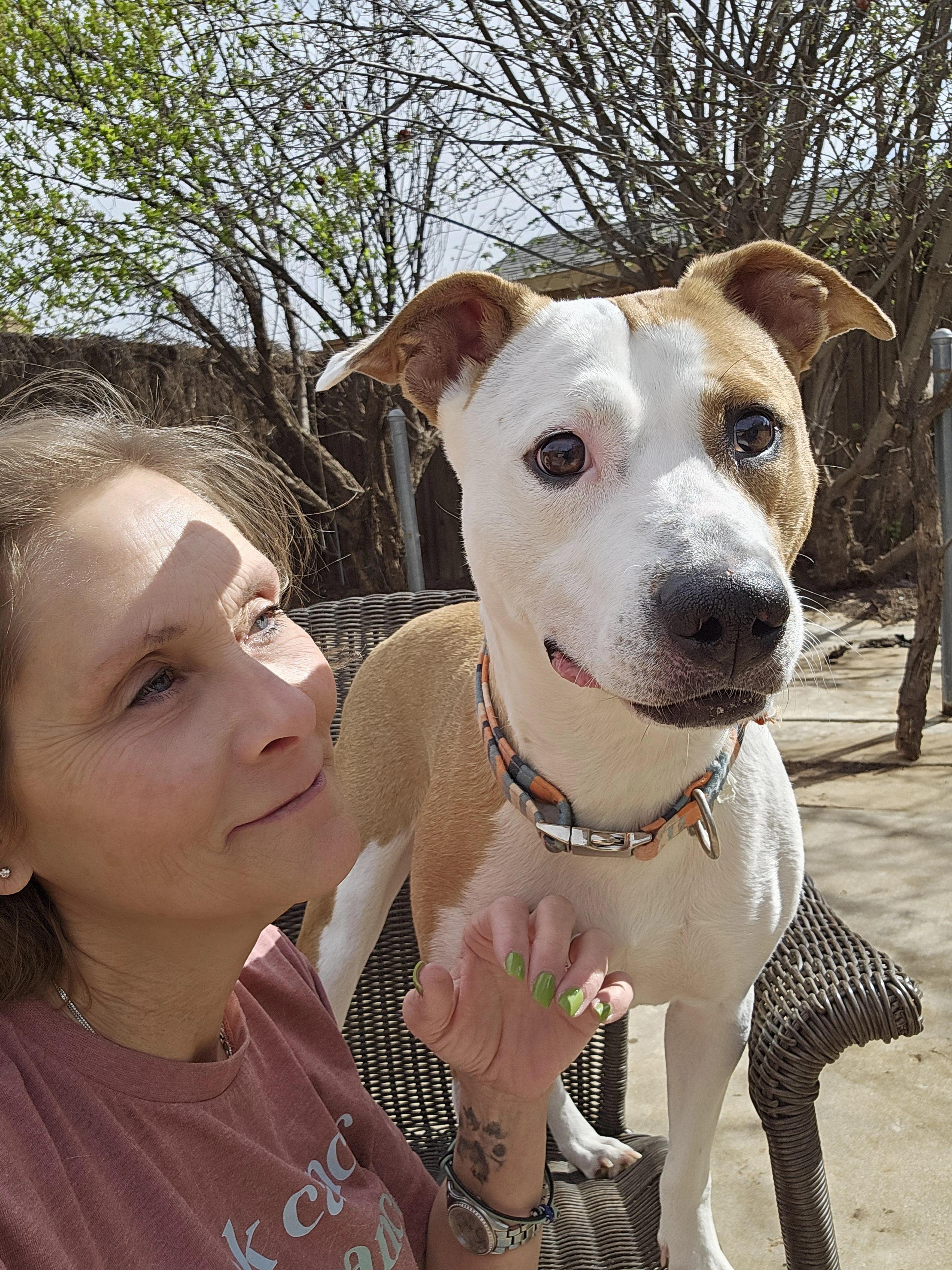 Enlarge Rosebud Ruby, a Adoptable mixed breed in Clovis, NM image 6/6