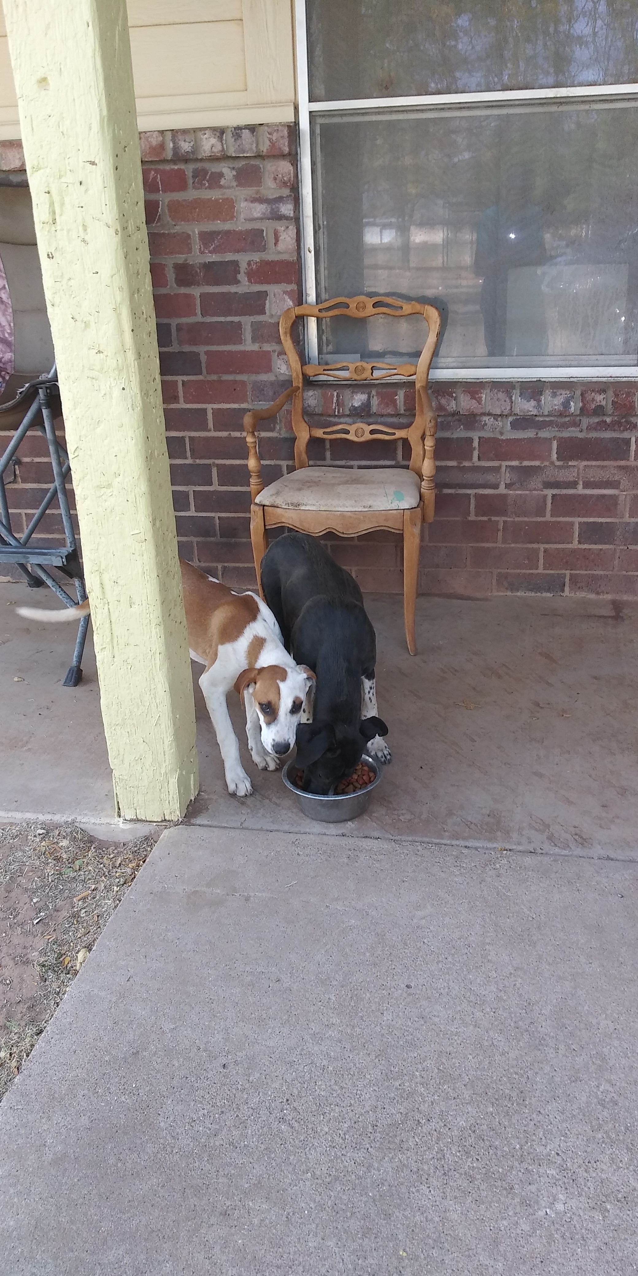 Rubie — thumbnail 2