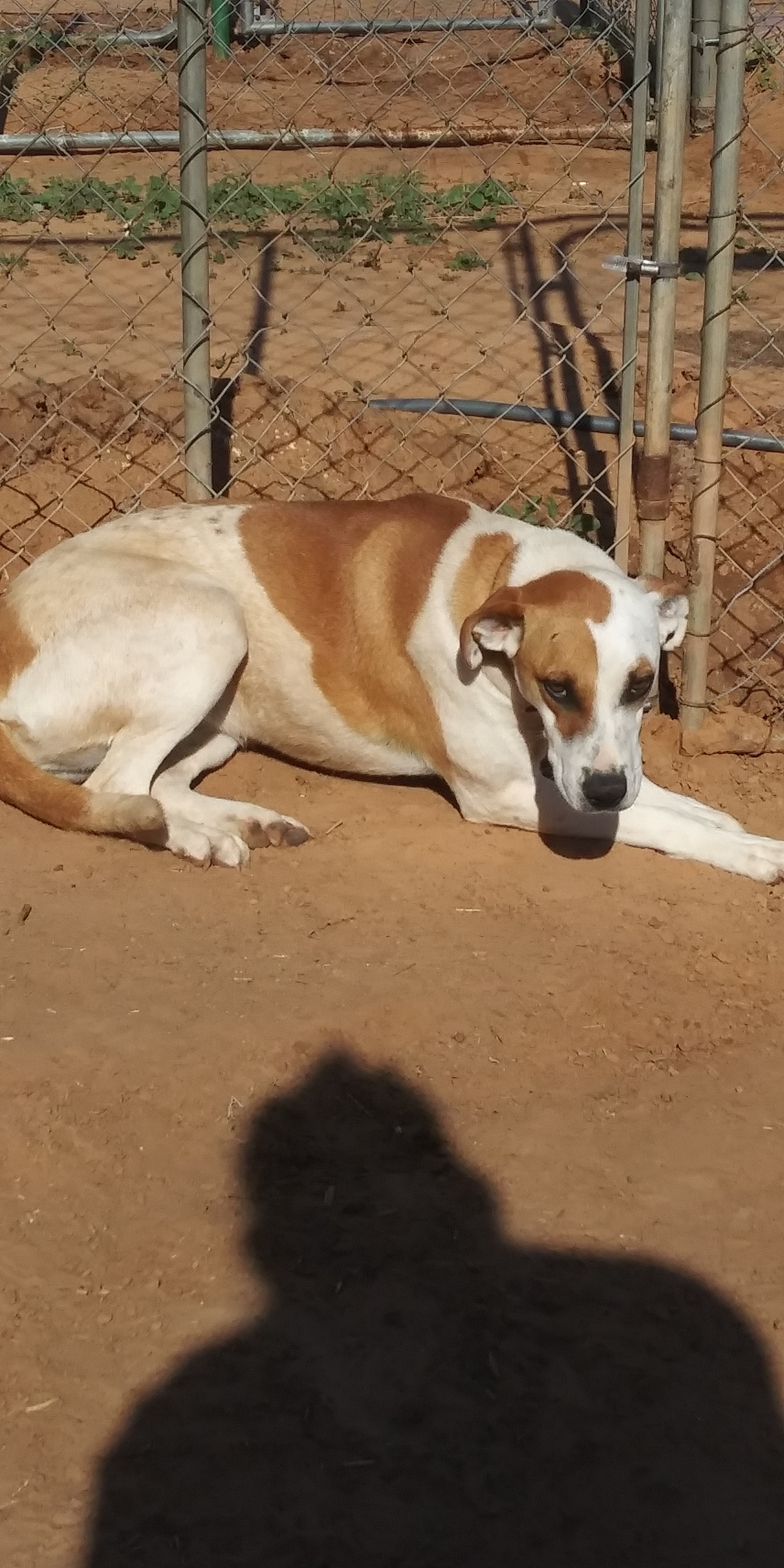 Rubie — thumbnail 5