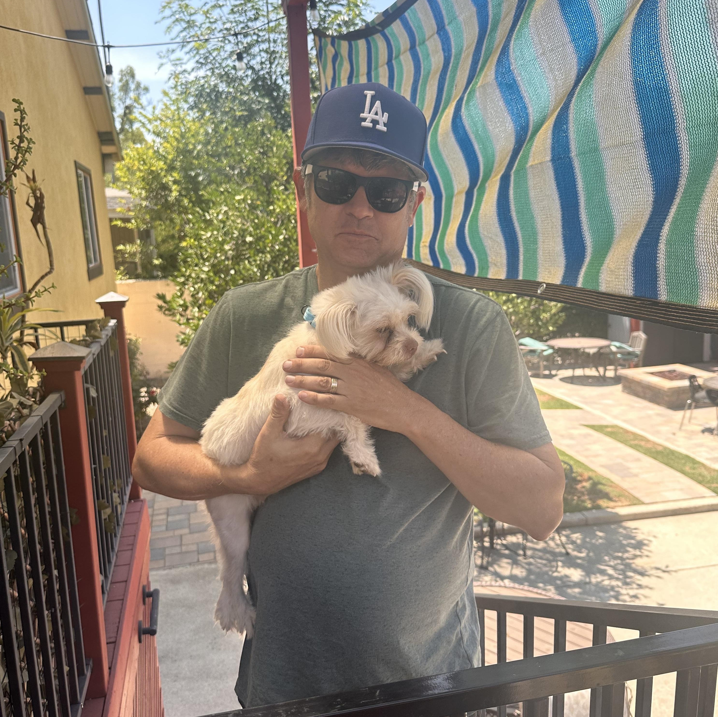 Ivy, a Adopted mixed breed in Glendale, CA image 5/5