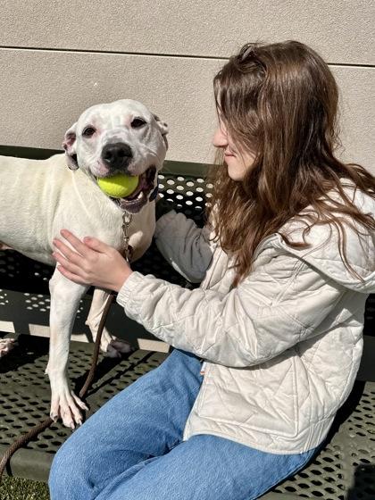 Wanikya, a Adoptable mixed breed in Wichita, KS image 2/3