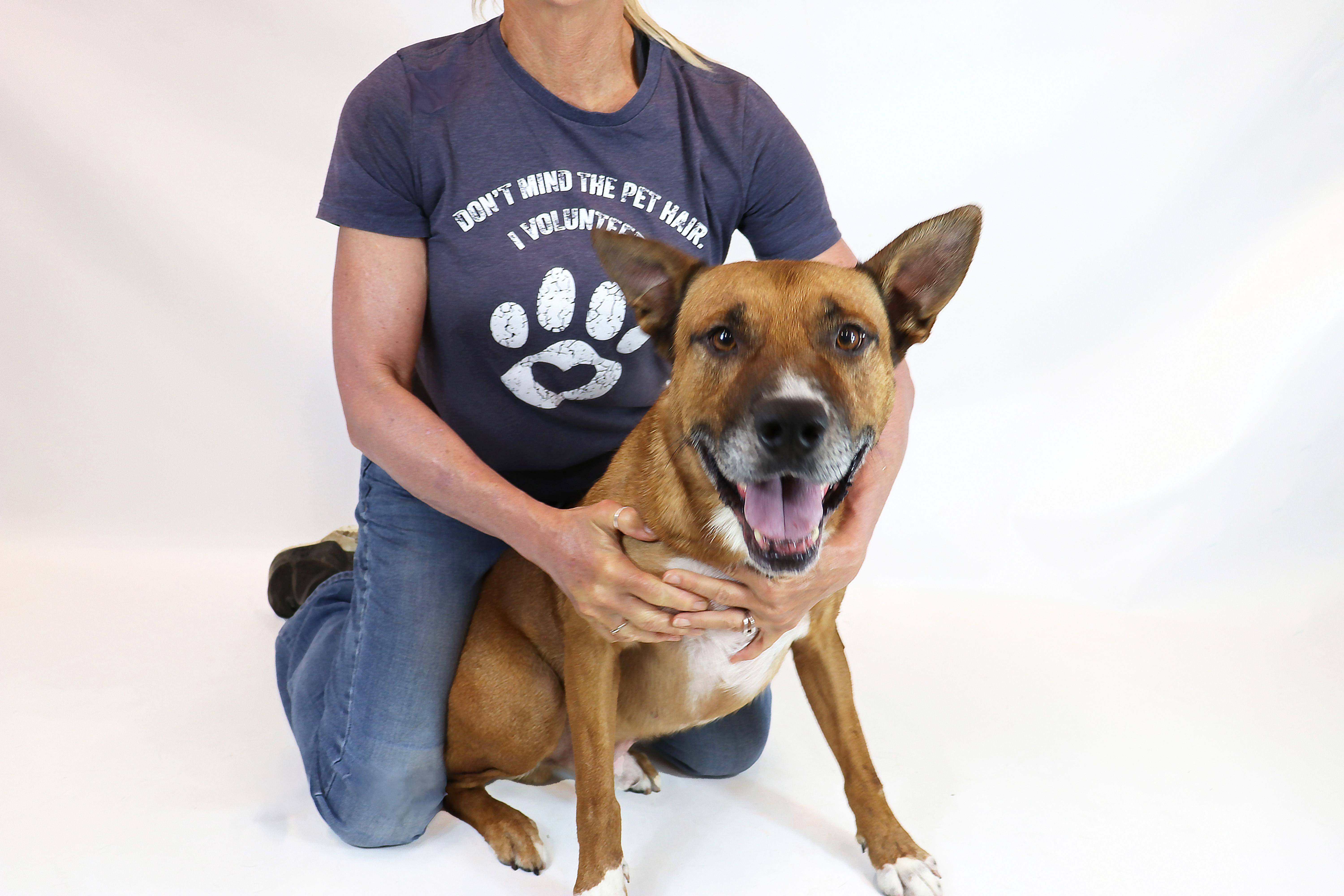 Arlo, a Adoptable mixed breed in Clovis, CA image 2/4