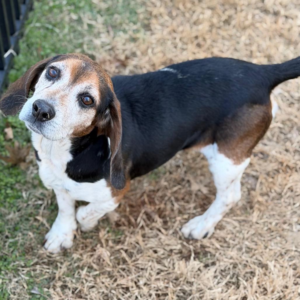 Grant — thumbnail 2