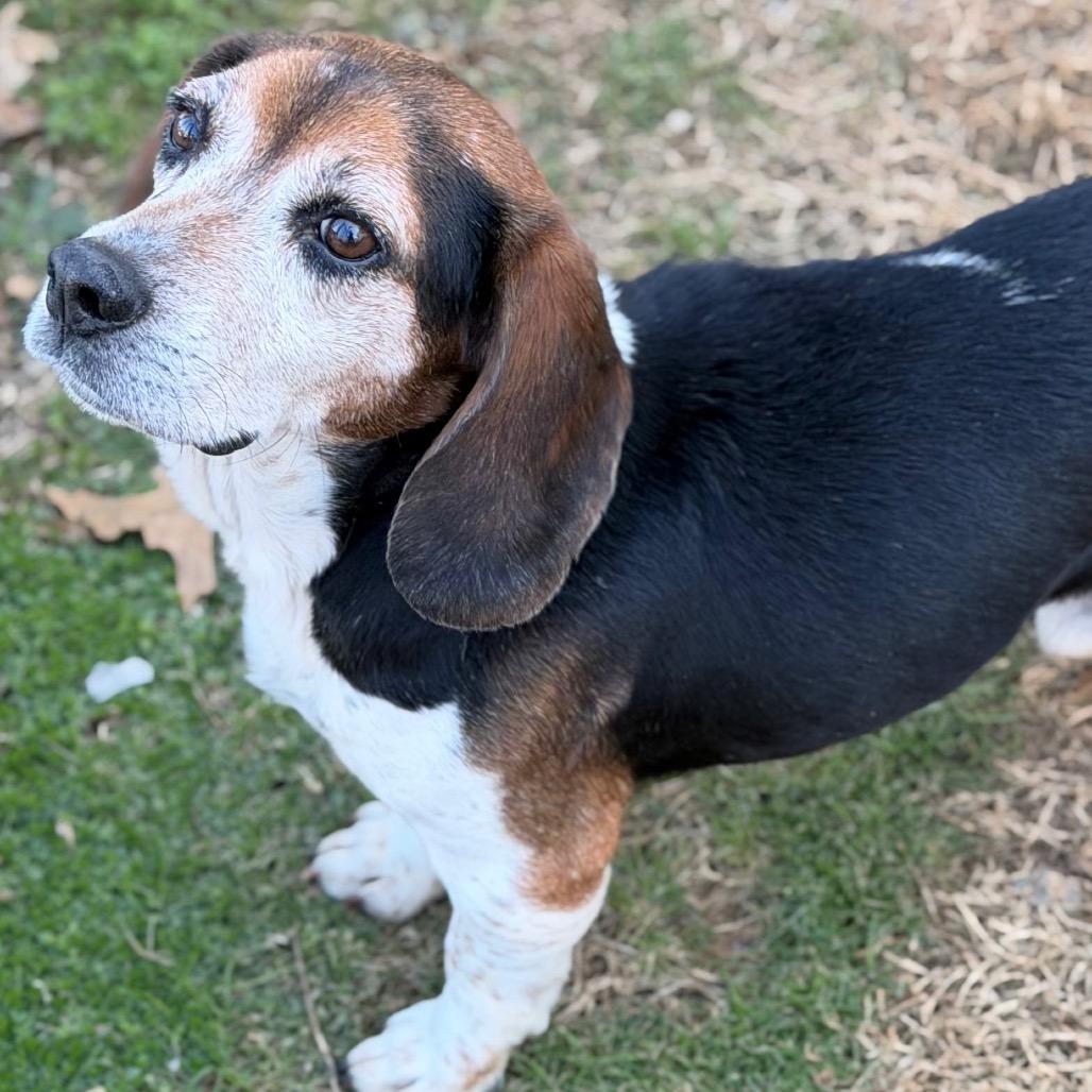 Grant — thumbnail 3