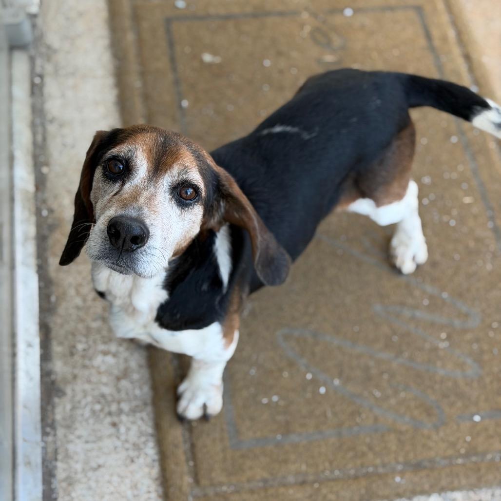 Grant — thumbnail 4