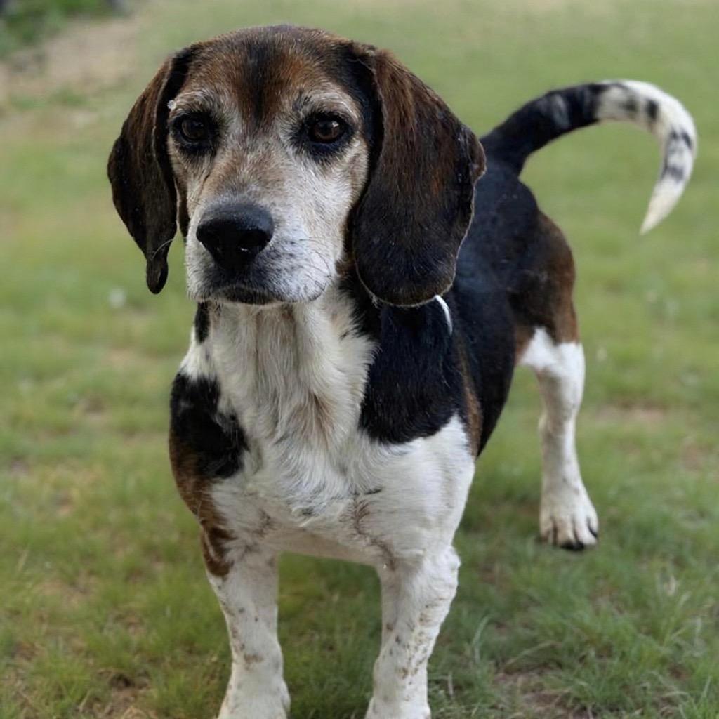 Grant — thumbnail 5