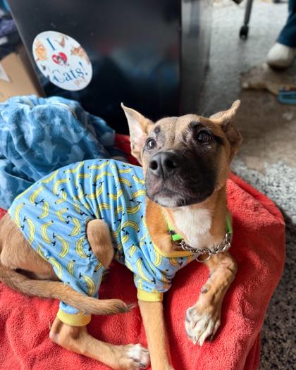 Cinnabon thumbnail 2