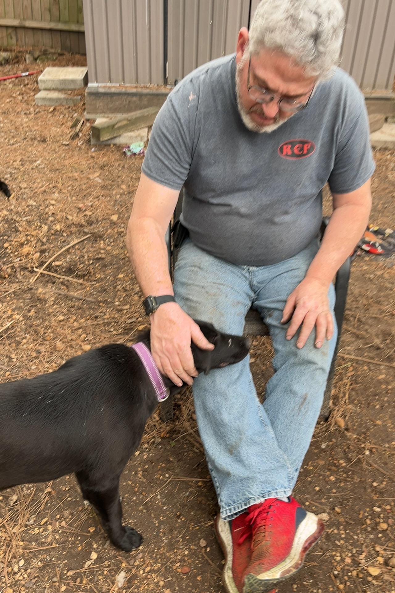 Enlarge Mittens, an adoptable mixed breed in Warrington, PA image 4/6
