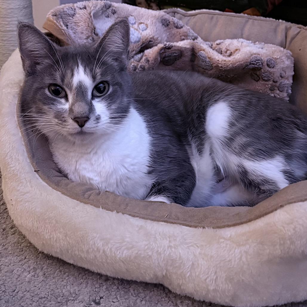 Felicity — thumbnail 3