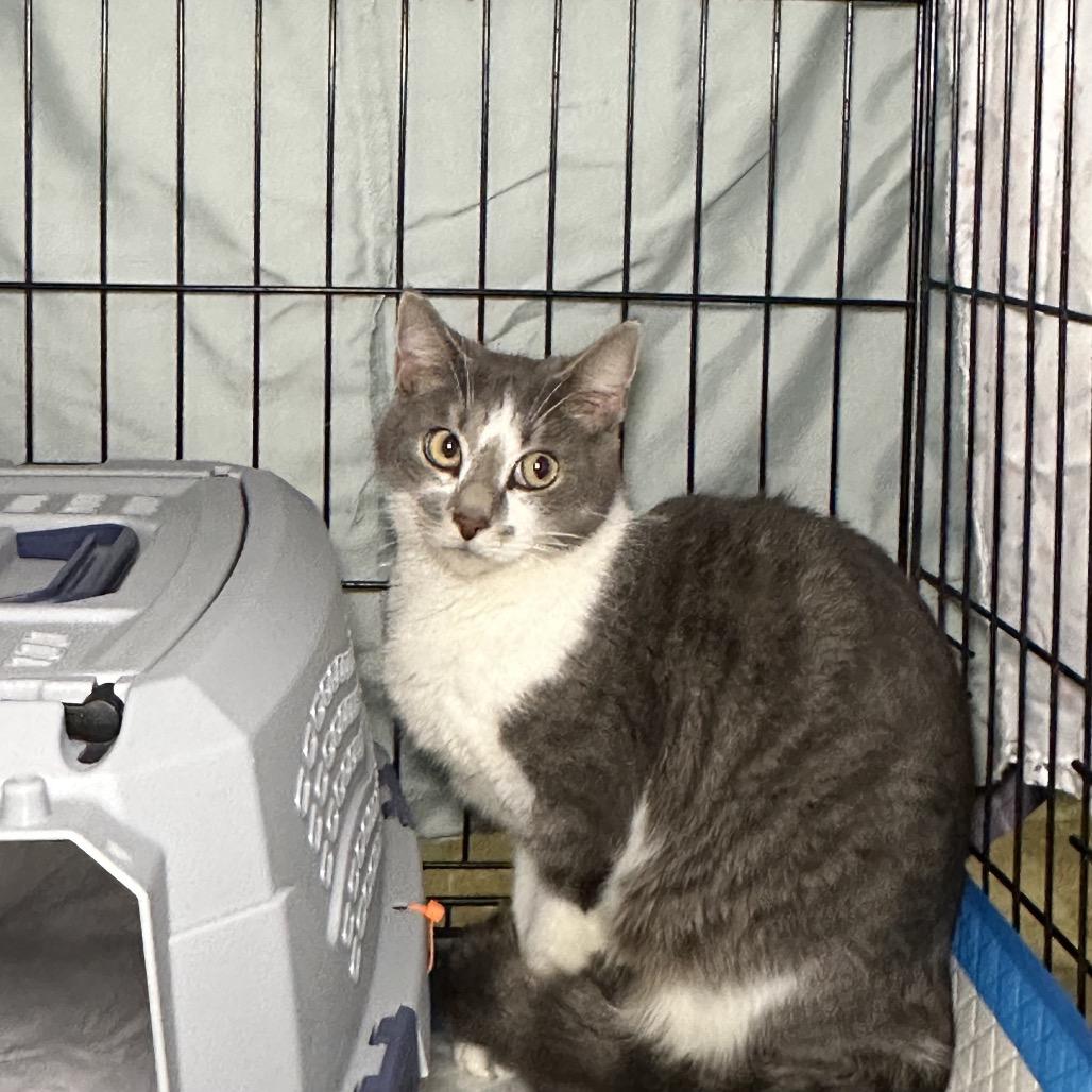 Felicity — thumbnail 4