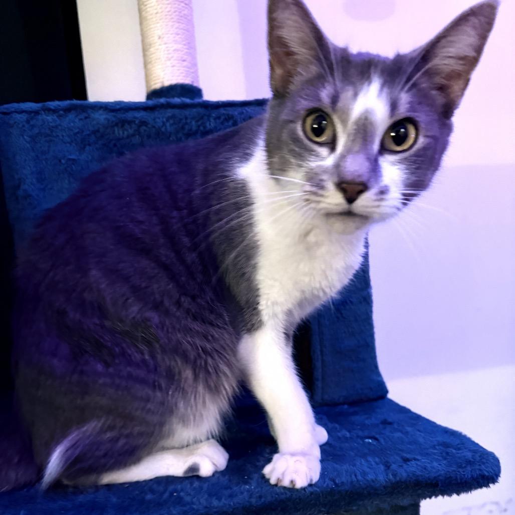 Felicity — thumbnail 6