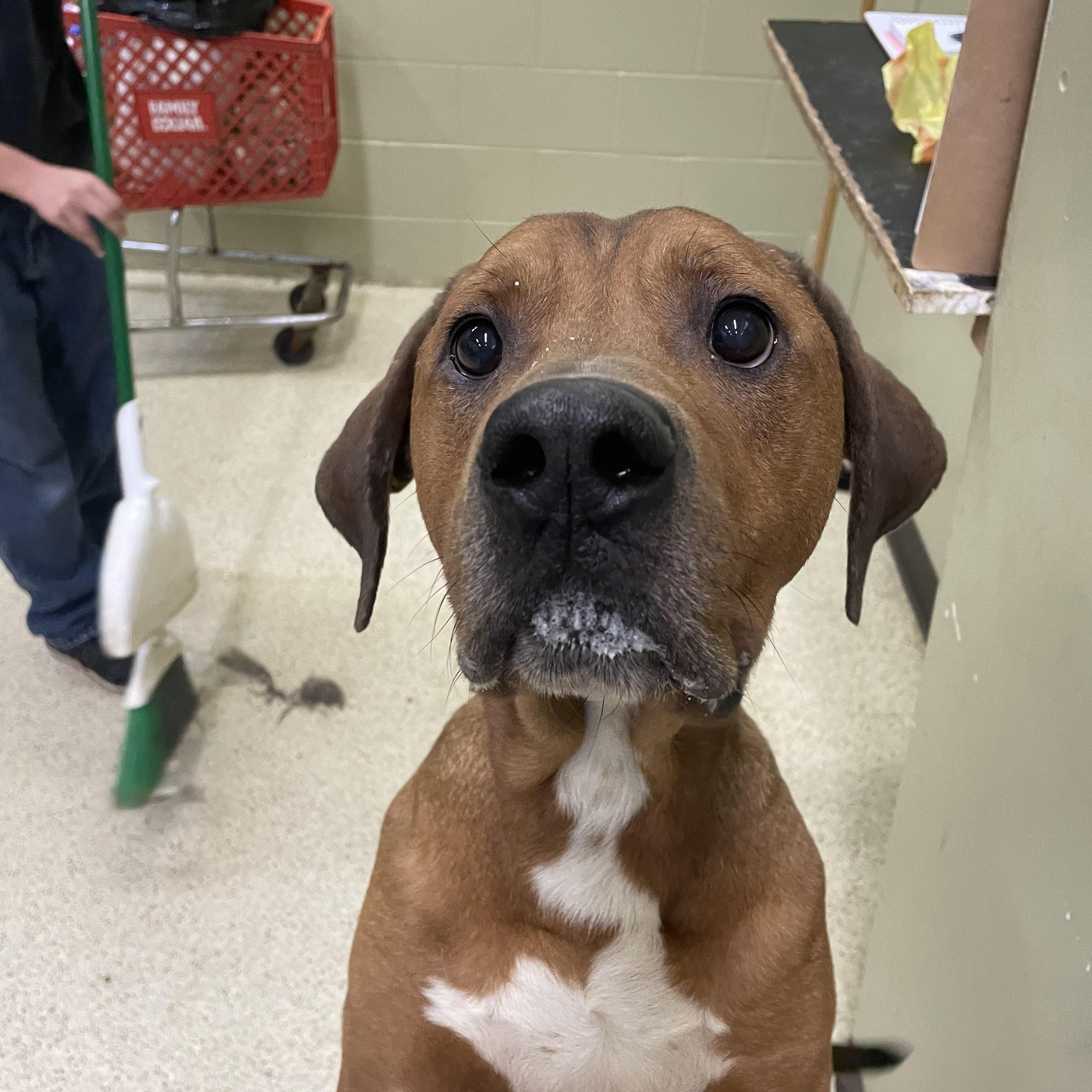 Bryer — thumbnail 2