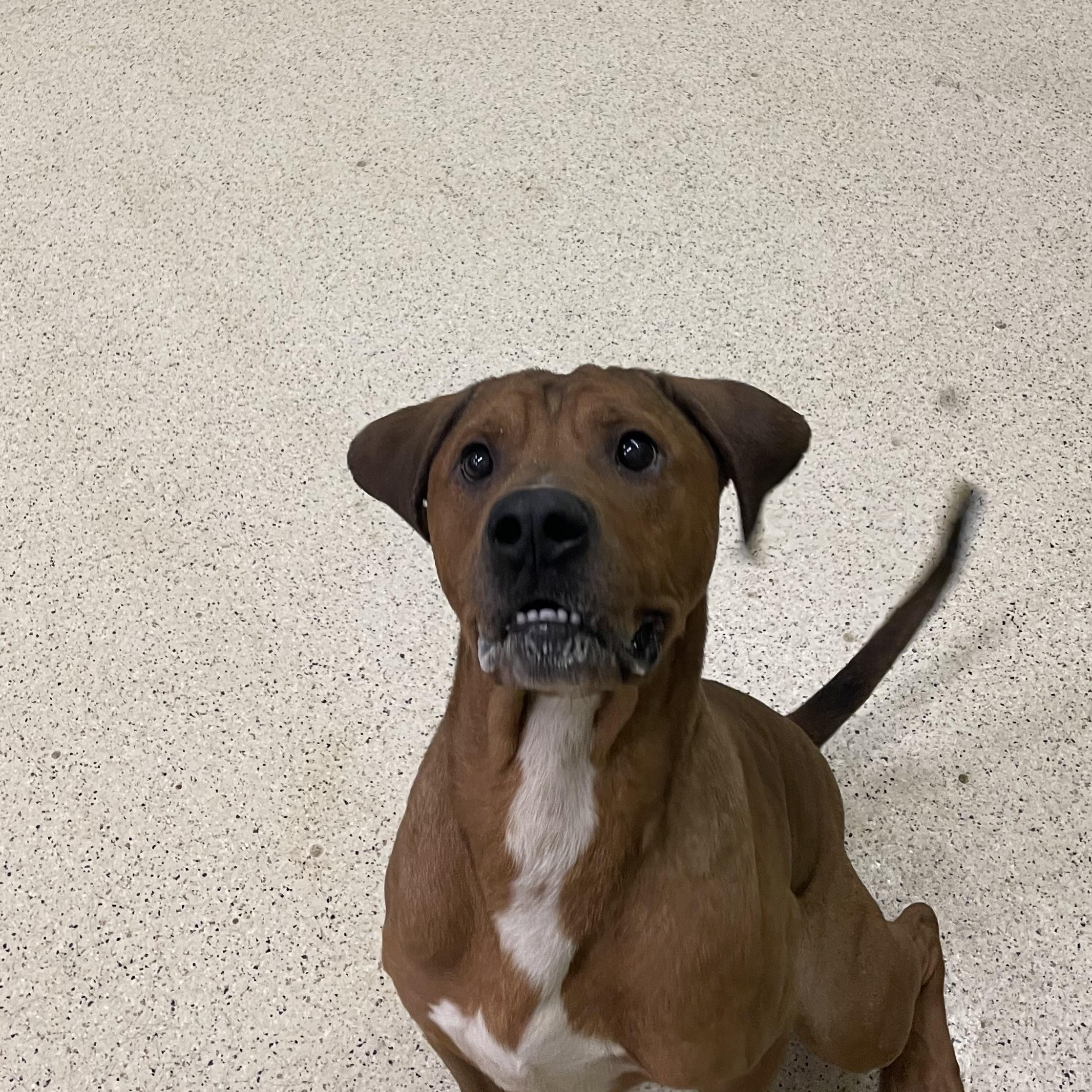 Bryer — thumbnail 4