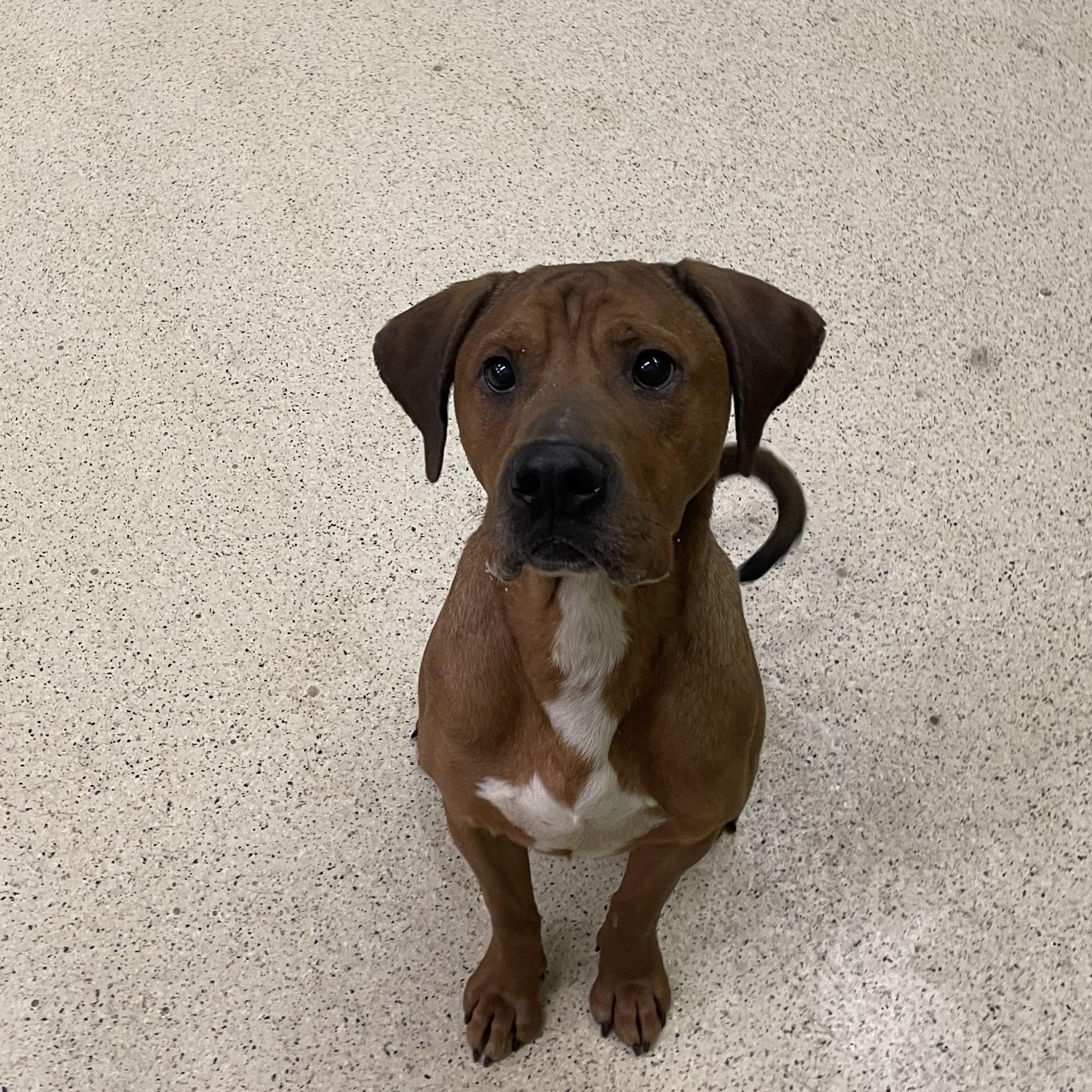 Bryer — thumbnail 6