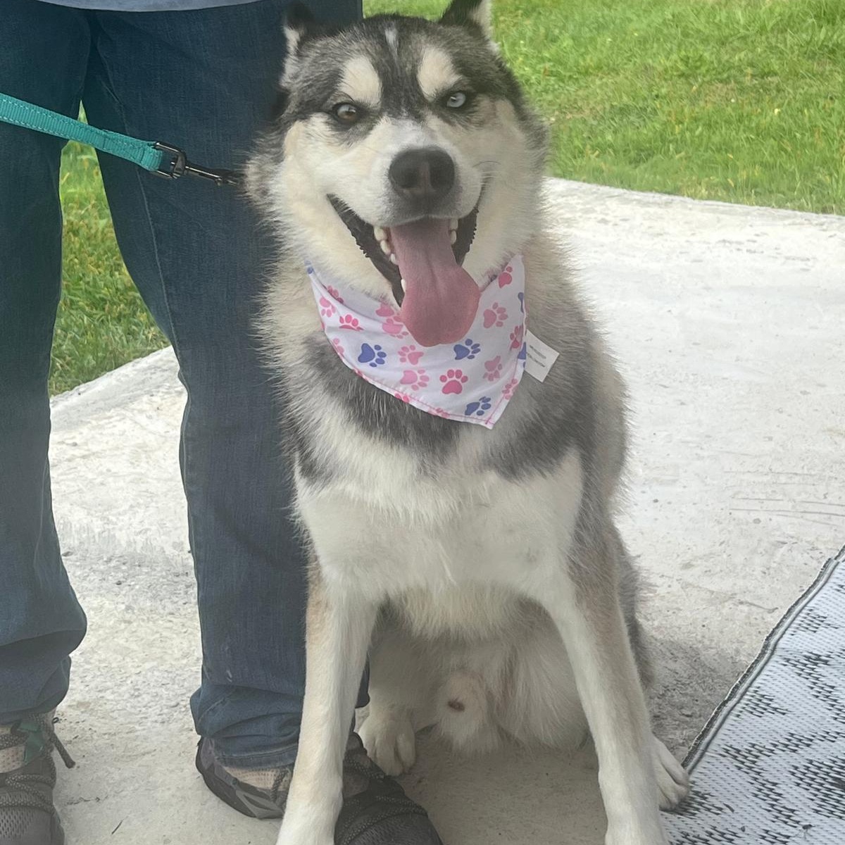 Rockwell In New York thumbnail 4