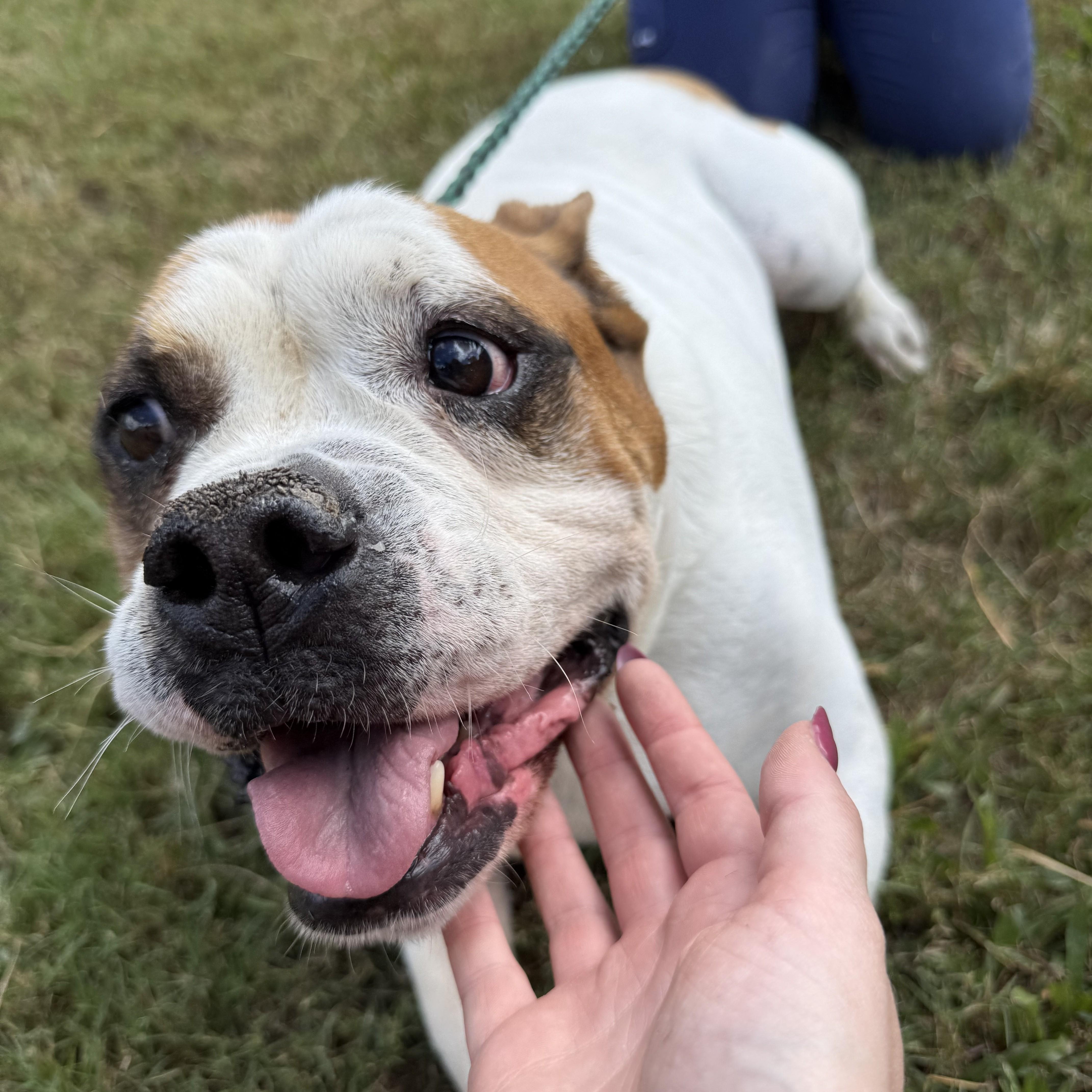 Tank — thumbnail 6