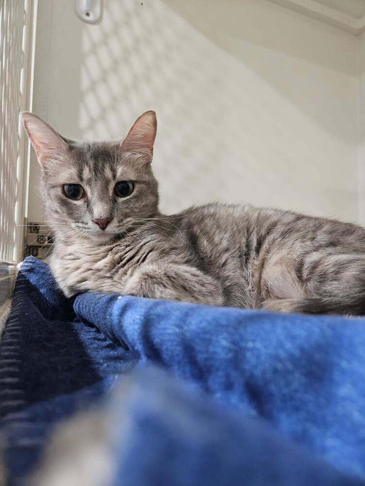 Tinky photo