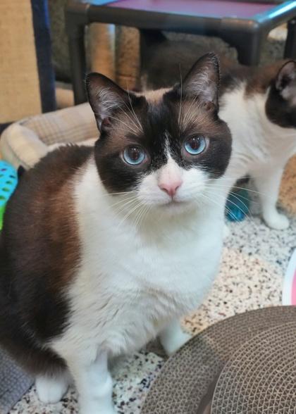 Bub 53166 — thumbnail 3