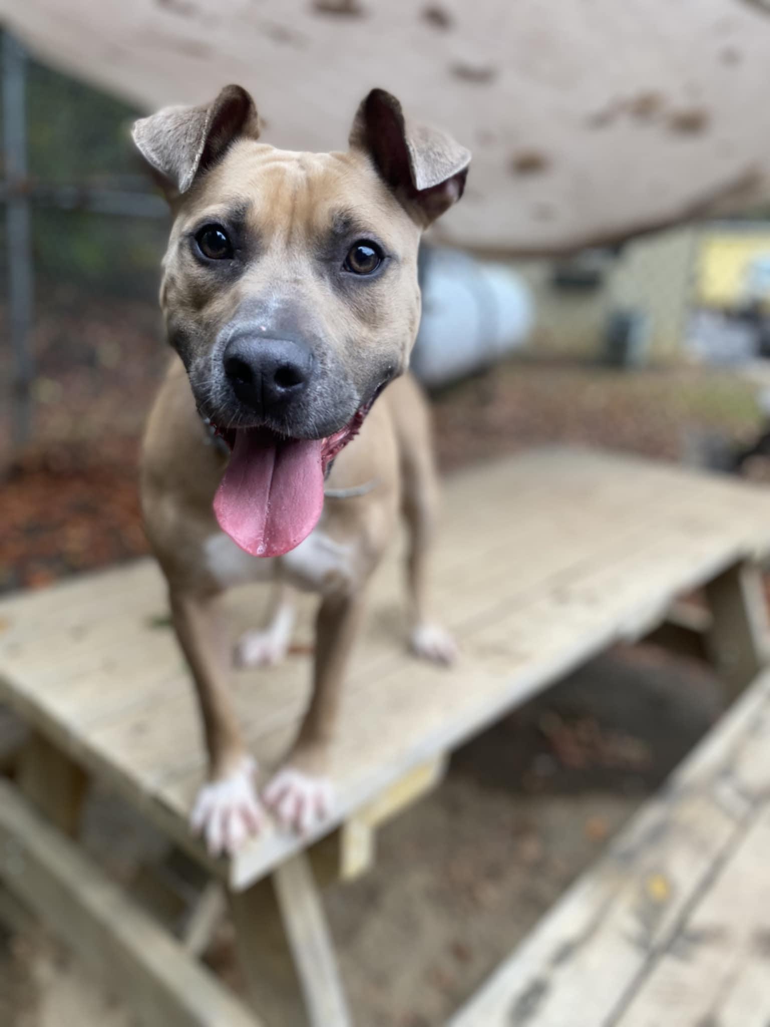 Kyra