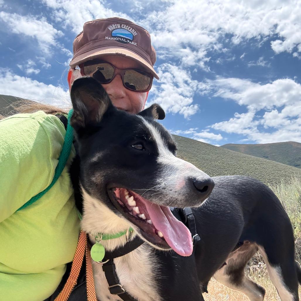 Rose, a Adoptable Mixed Breed in Hailey, ID image 3/6