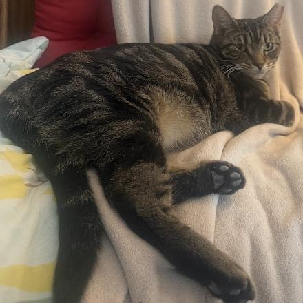 Sara & Sheila — thumbnail 2